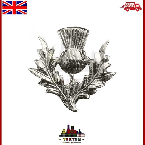 Highland thistle cap badge - thistle,