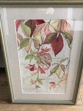 Framed Mounted Watercolour
