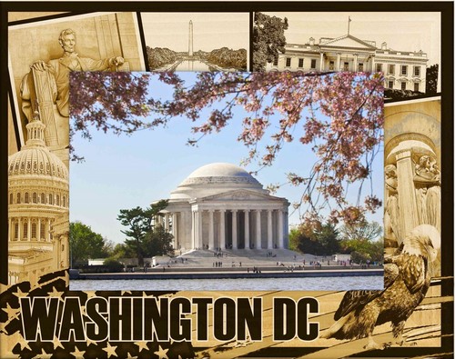 Washington montage laser - washington,