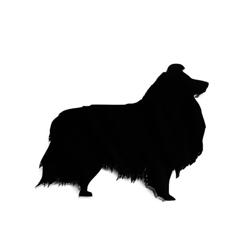 Sheltie shetland sheepdog - sheltie,