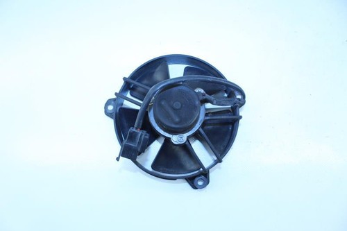 Yamaha 125 majesty - majesty, fan
