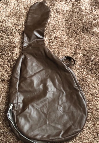 Guitar case - guitar,