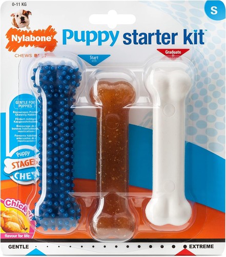 Nylabone puppy starter kit - starter,