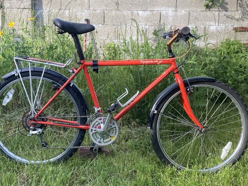 Vintage retro 80s ridgeback - vintage,