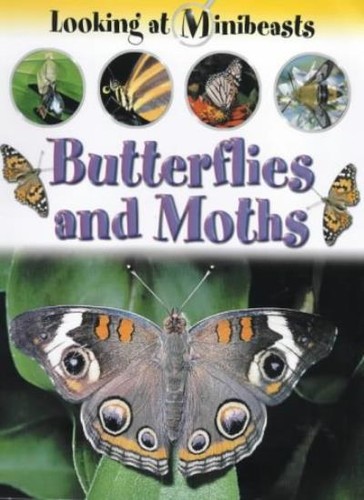 Butterflies and moths looking - butterflies, (looking