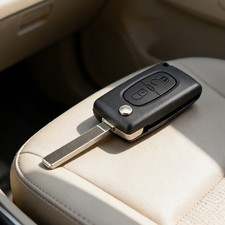 2 BUTTON CAR KEY CASE FOB