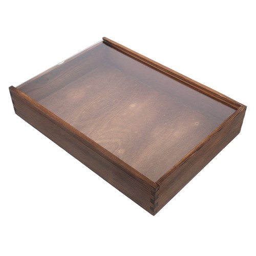 Bug collection box - bug, butterfly