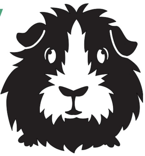 Guinea pig vinyl decal - decal, sticker