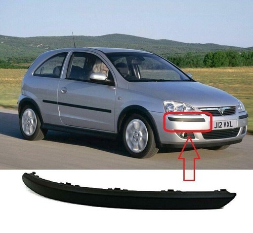 Front bumper molding trim - front,