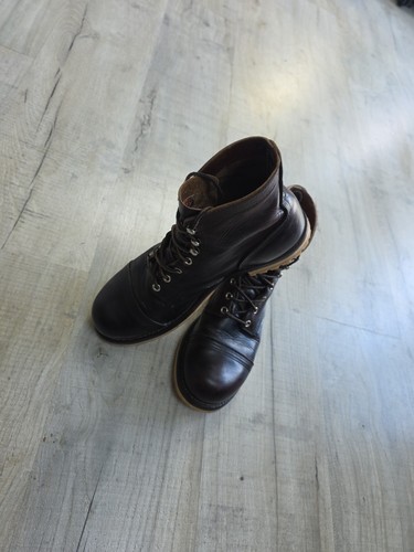 Redwing red wing - red, ranger