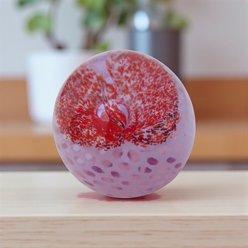 Caithness paperweight - caithness,