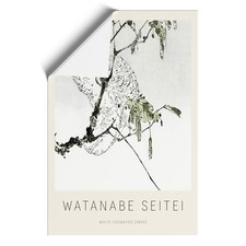 White Cockatoo By Watanabe
