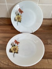 2 x JAJ Pyrex 8.5" Lunch Starter Plates Autumn Glory Vintage Retro Milk Glass