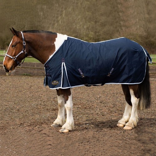 Gallop summer sheet - summer,