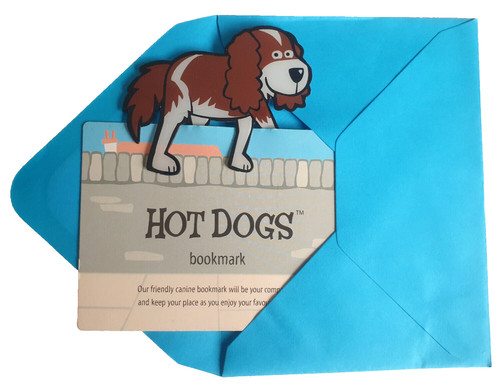 Cavalier king charles - cavalier,