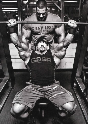Bodybuilding workout gym - bodybuilding,