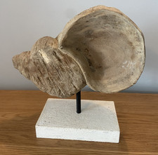 Decorative Rustic Wood Conch