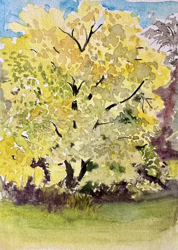 Original watercolour painting - original,
