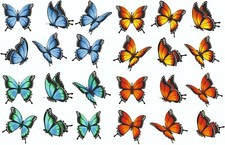 x24 Butterfly Coloured Sticker