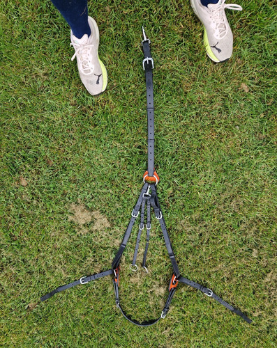 Childeric black point - black, 3