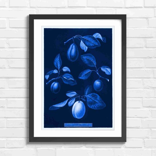 Botanical vintage plum fruit - vintage,