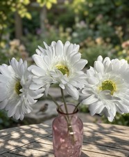White Faux Gerbera/Daisies 3
