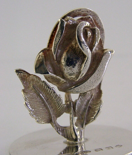 Pretty english rose flower - pretty,