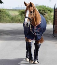 Premier equine airtechnology - equine,