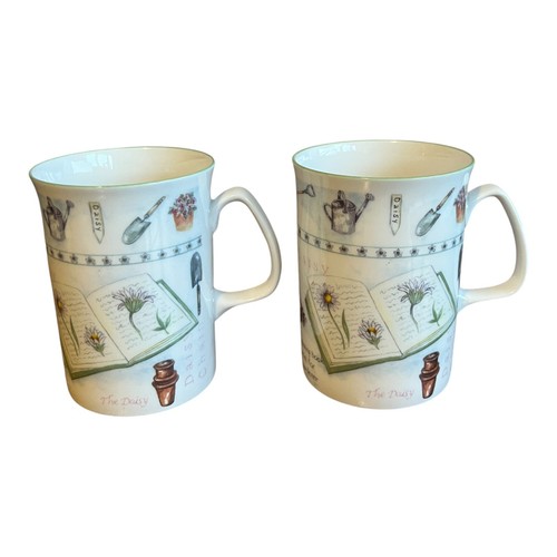 Rose england fine bone - rose,
