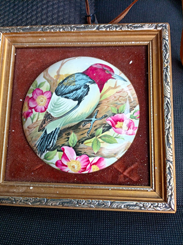 Staffordshire fine ceramics - fine,