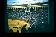 Vintage photo slide - slide,