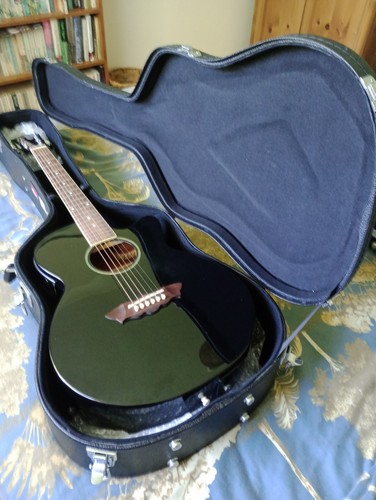Washburn ea16 semi acoustic - washburn,