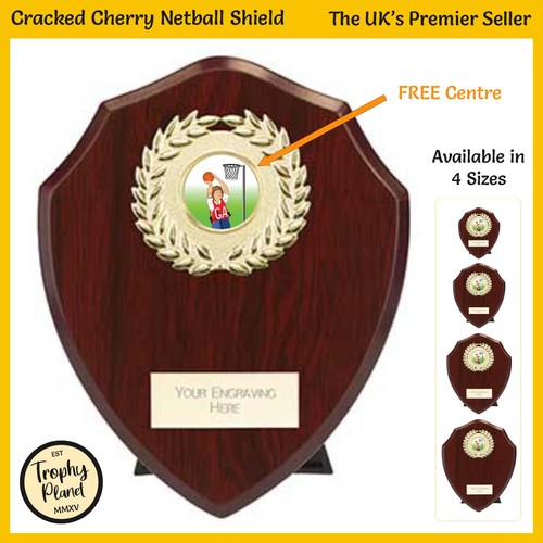 Netball shield trophy cracked - netball,