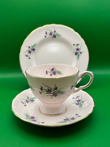Vintage pink tuscan - pink, tea