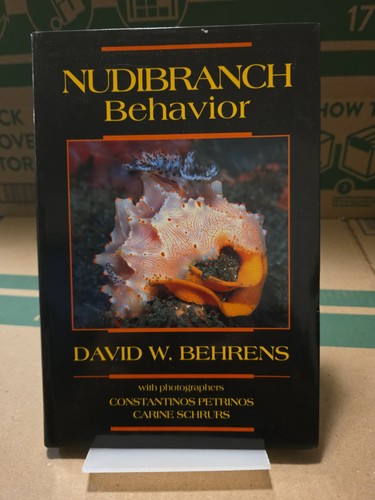 Nudibranch sea slug behavior - slug,