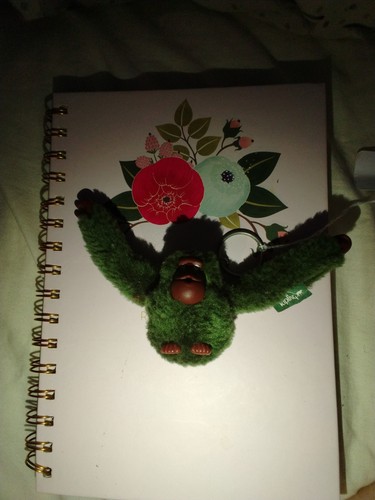Kipling monkey keyring green - kipling,