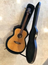 Takamine EG501S OM Style