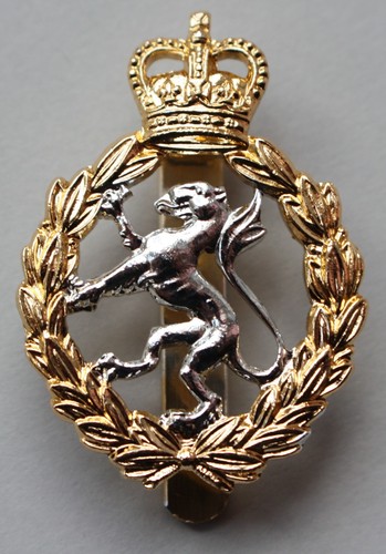 British army women royal - army,, women's