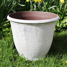 Frosted White Birch Wood