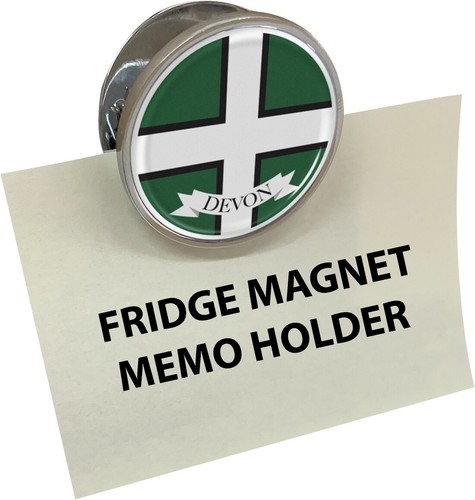 Devon flag gel domed fridge - domed,
