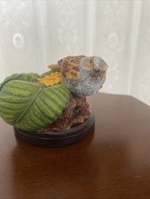 The Dunnock from  The Country Bird Collection by Andy Pearce 2003