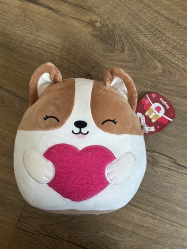 Squishmallows regina the corgi - the,