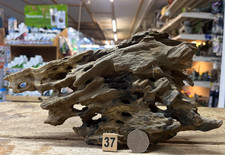 Dragon Wood Natural Aquarium