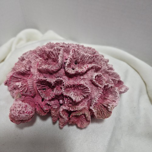 Faux pink coral - 6”, fish
