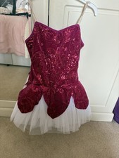 Dance Costume Ballet Tutu