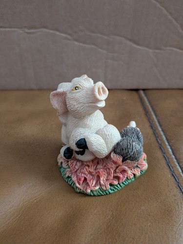 Rare piggin prickly pig - rare, david