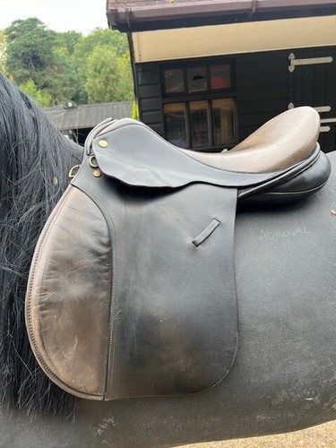 Ideal brown leather - , saddle