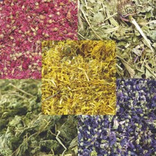 Bunny Bistro Dried Botanical