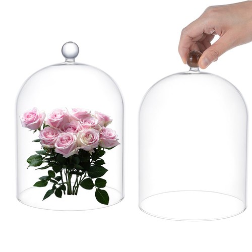 Clear glass bell jar 20x15cm - glass,