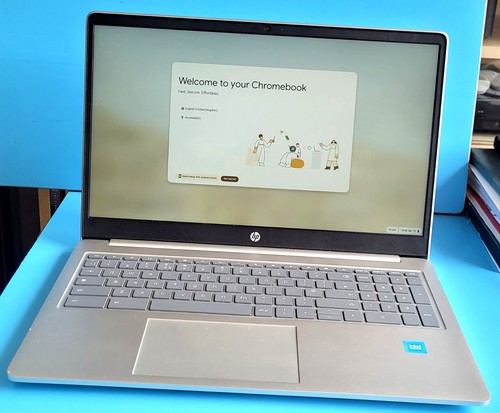 Chromebook model - 15.6",